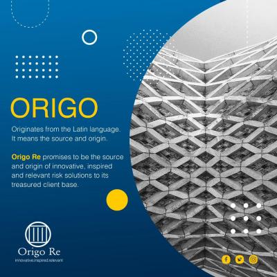 Origo Definition