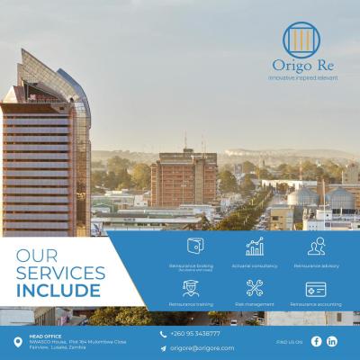 Origo Re Our Services